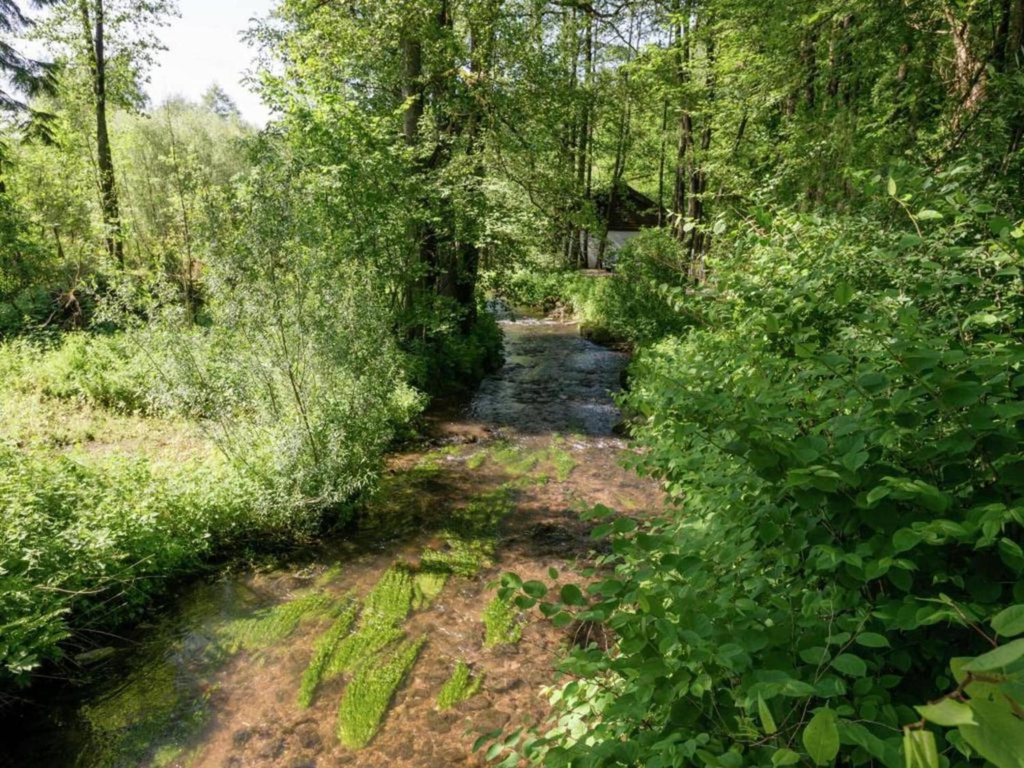 Charming Holiday Home In Malmedy With Sauna Εξωτερικό φωτογραφία