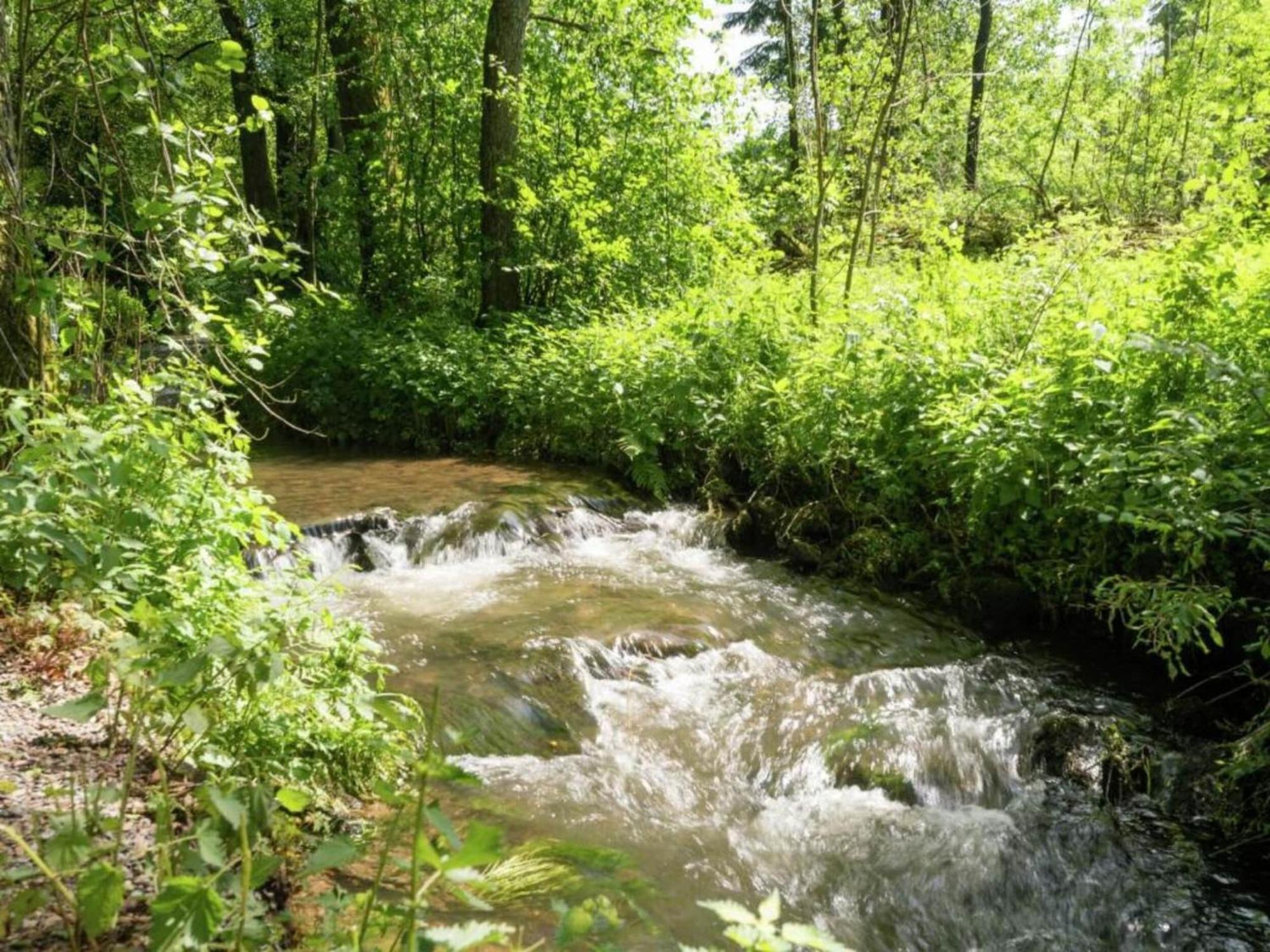 Charming Holiday Home In Malmedy With Sauna Εξωτερικό φωτογραφία